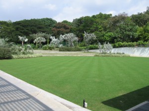When entered the Hort Park, there is a large field.. I wondered what is it for?