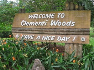 Clementi Woods